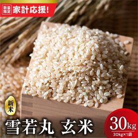 【ふるさと納税】【家計応援】【 令和7年産 】 雪若丸 玄米 30kg （ 30kg × 1袋 ） 産地直送 2025年産 ゆきわかまる ブランド米 5キロ 1袋 農家直送 米 こめ コメ お米 おこめ 白米 精米 ごはん ご飯 国産米 国産 常温 山形県 米沢市 歳末感謝