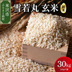 yӂ邳Ɣ[Łzy ߘa7NY z   30kg i 30kg × 1 j Yn 2025NY 䂫킩܂ uh 5L 1 _ƒ   R     ͂  Y Y