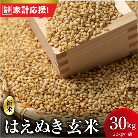 【ふるさと納税】【家計応援】【 令和7年産 】 はえぬき 玄米 30kg （ 30kg × 1袋 ） お米 産地直送 2025年産 米沢産 お取り寄せ 送料無料 山形県 米沢市 歳末感謝