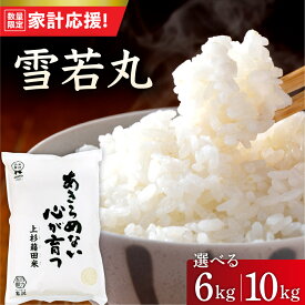 【ふるさと納税】【家計応援】 令和7年産 米 雪若丸 選べる 6kg ( 2kg × 3袋 ) 10kg ( 5kg × 2袋 ) 白米 精米 ごはん ご飯 産地直送 2025年産 ゆきわかまる ブランド米 小分け 農家直送 国産米 国産 常温 山形県 米沢市