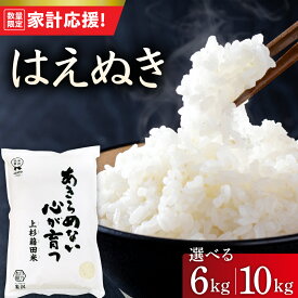 【ふるさと納税】【家計応援】 令和7年産 米 はえぬき 選べる 6kg ( 2kg × 3袋 ) 10kg ( 5kg × 2袋 ) 白米 精米 ごはん ご飯 産地直送 2025年産 小分け 農家直送 国産米 国産 常温 山形県 米沢市