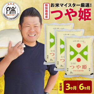 yӂ邳Ɣ[Łzy  / ߘa7NYz ʍ͔| P ( Iׂ 3 / 6 ) v 6kg / ( 1z 2kg × 3 ) ă}CX^[I uh 2025NY     Mtg R`