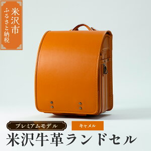 yӂ邳Ɣ[Łzy 󒍐Y 2027N wΏ z đ v hZ v~Af Iׂ J[ (L / `R[O[ / {h[) Vv SDGs đ v I[_[ tBb