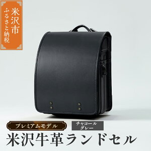 yӂ邳Ɣ[Łzy 󒍐Y 2027N wΏ z đ v hZ v~Af Iׂ J[ (L / `R[O[ / {h[) Vv SDGs đ v I[_[ tBb