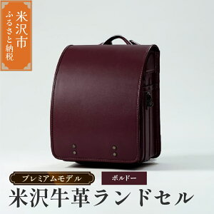 yӂ邳Ɣ[Łzy 󒍐Y 2027N wΏ z đ v hZ v~Af Iׂ J[ (L / `R[O[ / {h[) Vv SDGs đ v I[_[ tBb