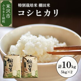 【ふるさと納税】《 先行予約 》 【 令和6年産 新米 】 米沢米 棚田米 コシヒカリ 10kg ( 5kg × 2袋 ) 特別栽培米 2024年産 産地直送 農家直送 米沢産 精米 米 お米 白米 ブランド米 山形県 贈答 ギフト