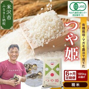 yӂ邳Ɣ[Łzyߘa7NY zL@JAS P (Iׂ :  3 6 /  ) 1 5kguh   L@엿 100% 2025NY _ƒ đsY Yn _ƒ R` đs