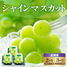 【ふるさと納税】【先行予約】 【定期便】 令和8年産 粒 シャインマスカット 210g × 3パック 選べる回数 2回 3回 2026年9月下旬頃～お届け予定