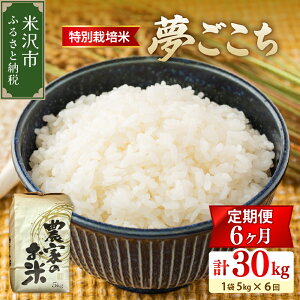 yӂ邳Ɣ[Łzy6 / ߘa7NYzʍ͔|  v 30kg ( 5kg×1 /  ) ĉ _ƒ 2025NY    uh  ͂ CX 񂹃O 퉷z 