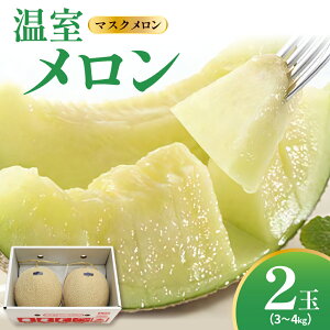 yӂ邳Ɣ[Łzys\z ߘa8NY   }XN 2 ( 3`4kgx ) 2026N9{`{ ͂\