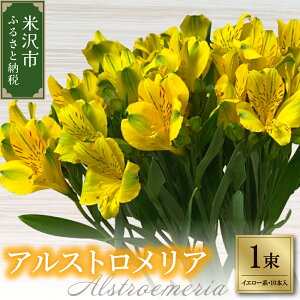 yӂ邳Ɣ[ŁzAXgA 1 10{  FIׂ (sNn / zCgn / CG[n)   t[ t[AWg AWg  R` đs