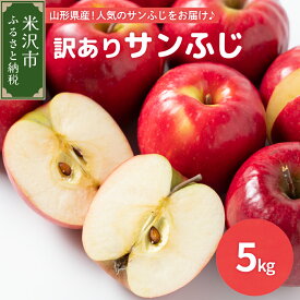 【ふるさと納税】《 先行予約 》【 令和6年産 】 訳あり りんご ( サンふじ ) 5kg 〔 2024年11月中下旬頃 ～ お届け 〕 家庭用 キズ等 規格外 不揃い 傷 2024年産 フルーツ 果物 くだもの お試し 山形産 山形県産 米沢市