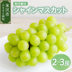 【ふるさと納税】【先行予約】 令和8年産 シャインマスカット 2～3房 2026年9月中下旬～10月上旬頃 お届け予定
