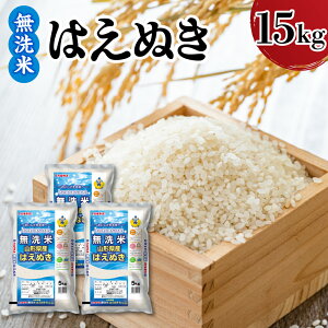 【ふるさと納税】令和7年産 新米 山形県産 はえぬき 選べる 精米 無洗米 5kg 10kg 15kg