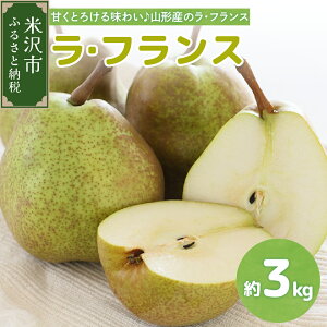 yӂ邳Ɣ[Łzߘa7NY EtX eʂIׂ ( 2kg / 3kg / 5kg ) y11{`͂ztX m 2025NY t[c ʕ  R`Y R`Y đs H {