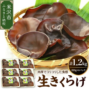 yӂ邳Ɣ[Łzss\tyԌz đY 炰 Iׂe(v 600g / 1.2kg ) 6`10{z LNQ ؎ ̂ LmR  h{Lx   Mtg  Y R