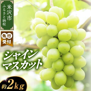 yӂ邳Ɣ[Łzys\zyʌzyߘa8NYzԂǂ VC}XJbg 2kg ( 3`4[ ) 2026N915`930͂\