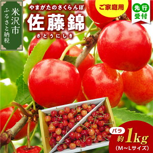 yӂ邳Ɣ[Łzys\zyʌz ߘa8NY ƒp 󂠂   ol 1kg 2026N6{`{͂\