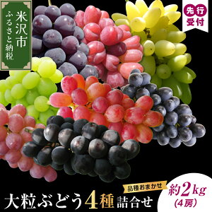 yӂ邳Ɣ[Łzys\zyʌzyߘa8NYz嗱 Ԃǂ l 4 2.5kg 4[ i킨܂ 2026N915`930͂\