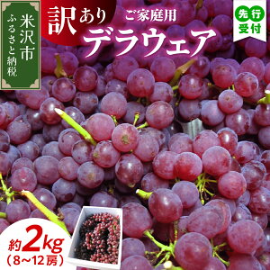 yӂ邳Ɣ[Łzys\zyʌzyߘa8NYzƒp 󂠂 Ԃǂ fEFA 2kg ( 8`12[ ) 2026N820`920͂\