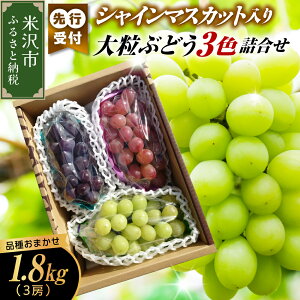 yӂ邳Ɣ[Łzys\zyʌzyߘa8NYzVC}XJbg 3F 嗱Ԃǂ l 3 1.8kg 3[ 2026N915`930͂\