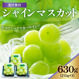 【ふるさと納税】【先行予約】 【数量限定】 令和8年産 シャインマスカット 210g × 3パック 計 630g 2026年9月上旬頃～お届け予定