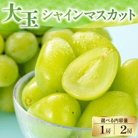 【ふるさと納税】【先行予約】 令和8年産 大玉 シャインマスカット 選べる 内容量 1房 ( 700g ) 2房 ( 1.4kg ) 2026年9月上旬頃～ お届け予定