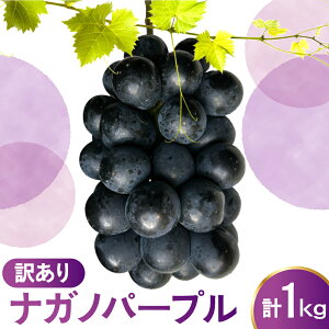 yӂ邳Ɣ[Łzys\z ߘa8NY 󂠂 Ԃǂ iKmp[v 1kg 2026N9{`͂\ 2026NY / Ԃǂ  Ԃǂ n R`Y 2026NY R` đs