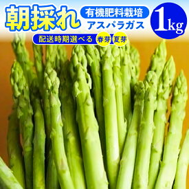 【ふるさと納税】【先行予約 令和7年産】アスパラガス 1kg 1箱 朝採り (配送時期が選べる：春芽 5月中旬～6月中旬／ 夏芽 8月中下旬～9月下旬) 有機肥料栽培 採りたて 新鮮 農家直送 アスパラ あすぱら 野菜 春野菜 甘い お取り寄せ 山形県 米沢市 産地直送 春 旬 今が旬