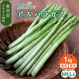 【ふるさと納税】先行予約 令和8年産 アスパラガス 1kg 春芽 / 夏芽 (サイズが選べる : 太物 L 以上 / 細物 M 以下) 野菜 農園成 産地直送 2026年産 アスパラ 旬 春野菜 農園成 産地直送 農家直送 贈答 ギフト お取り寄せ 送料無料 山形県 米沢市 春 旬 今が旬