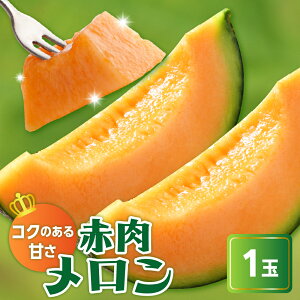 yӂ邳Ɣ[Łzys\z ߘa8NY ԓ ( NCV[719 ) 1 2kgȏ 2026N7{`8{͂\