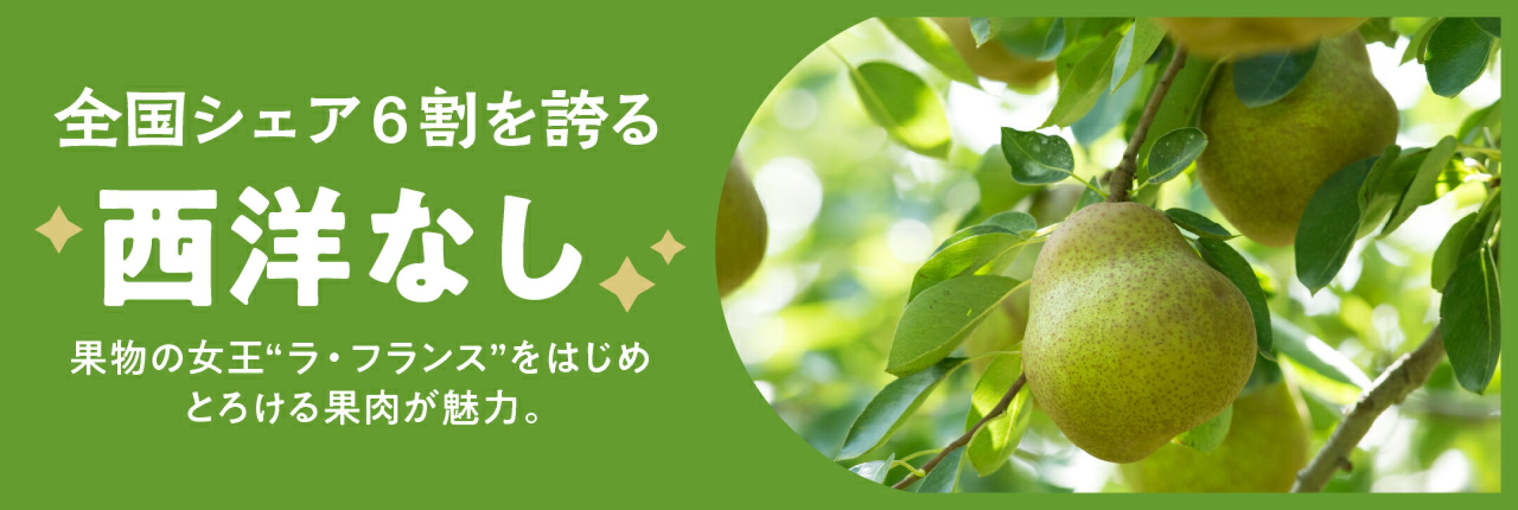 全国シェア6割を誇る。西洋なし。口当たりの良さ、芳醇な香りがラフランス人気の理由。