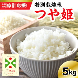 【ふるさと納税】【家計応援】数量限定【令和7年産】特別栽培米 つや姫 5kg 精米 新米/ 米 白米 農家直送 ブランド米 山形米 5キロ お取り寄せ 国産 送料無料 東北 山形県 米沢市 歳末感謝