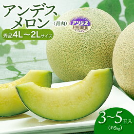 【ふるさと納税】【令和8年産先行予約】 アンデスメロン (青肉) (3〜5玉) 秀品 4L〜2Lサイズ　K-839 | 山形県 鶴岡市 返礼品 フルーツ 果物 くだもの お取り寄せ グルメ めろん 果実 約5kg 2026年