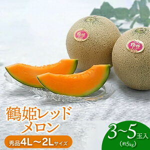 yӂ邳Ɣ[Łzyߘa8NYs\zߕPbh(ԓ) (3ʁ`5) Gi4L`2L@K-843 | R` ߉s ԗi t[c ʕ   O ԓ ߂ Yi 