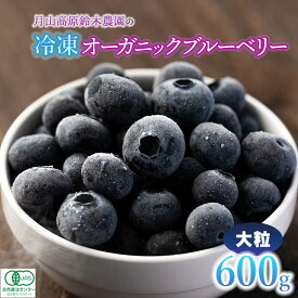 【ふるさと納税】【令和8年産先行予約】【冷凍】月山高原鈴木農園のオーガニック ブルーベリー(大粒・600g)　K-845