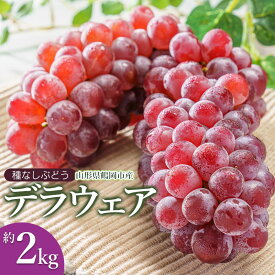 【ふるさと納税】【令和8年産先行予約】種なし ぶどう デラウェア 約2kg（10〜16房）鶴岡市産 K-834 | 葡萄 ブドウ フルーツ 果物 くだもの 山形県 デラウエア 種無しぶどう お取り寄せ 自宅用 家庭用 国産 果実