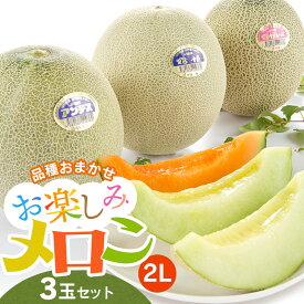 【ふるさと納税】【令和8年産先行予約】 お楽しみメロン3玉セット 2Lサイズ　アンデスメロン・鶴姫メロン・鶴姫レッドメロンの中から3玉お届け K-836 | 山形県庄内産 鶴岡市 返礼品 フルーツ 果物 くだもの 取り寄せ ギフト 食べ物 庄内砂丘