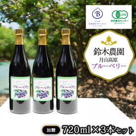 【ふるさと納税】月山高原鈴木農園のブルーベリージュース 加糖 3本セット 有機栽培 濃縮タイプ K-669 | 山形県 鶴岡市 返礼品 ジュース フルーツジュース ブルーベリー お取り寄せ フルーツ 東北 果物ジュース 果物 くだもの 飲料 ドリンク まとめ買い