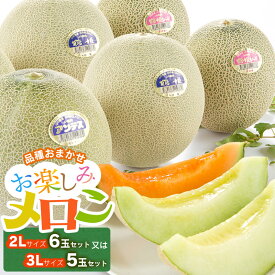 【ふるさと納税】【令和8年産先行予約】お楽しみメロンセット ［2L6玉セット］または［3L5玉セット］ アンデスメロン・鶴姫メロン・鶴姫レッドメロンの中から品種おまかせ　K-860　山形県庄内産 | 鶴岡市 返礼品 フルーツ 果物 くだもの 取り寄せ 青肉 赤肉 めろん