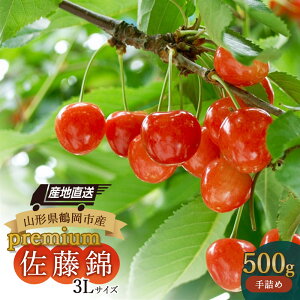 yӂ邳Ɣ[Łzyߘa8NYs\zR`߉Y ځuсvv~A 3Ll 500g@K-885