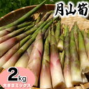 【ふるさと納税】【令和8年産先行予約】月山筍(ネマガリダケ) サ...