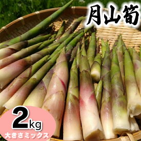 【ふるさと納税】【令和8年産先行予約】月山筍(ネマガリダケ) サイズミックス 2kg　発送時期：5月上旬〜6月上旬頃　がっさん たけのこ