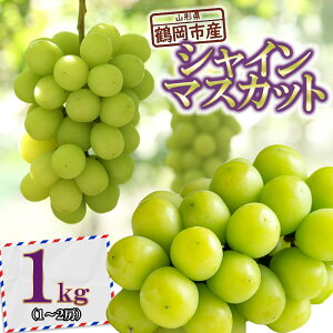 yӂ邳Ɣ[Łzyߘa8NYs\z߉sYԂǂ VC}XJbg 1kgi1`2[j K-835 | R` ߉s t[c ʕ  Ȃ uhE   O p ƒ