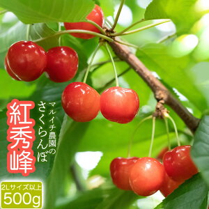 yӂ邳Ɣ[Łzyߘa8NYs\z gG 2LTCYȏ 500g }C`_ | TN{  R` ߉s yVӂ邳 ԗi x t[c ʕ   O