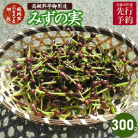 記事番号:33138/アイテムID:363205の画像