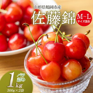 yӂ邳Ɣ[Łzyߘa8Ys\z  ol M`LTCY Iׂeʁm500g`1kgn R`߉sY