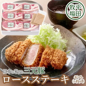 yӂ邳Ɣ[Łz cq {̕Ĉ炿O [XXe[LMtg (100g×6j t JOH-S06|  ɂ ؓ  Xe[L Mtg Xe[L |[N  Hi  lߍ