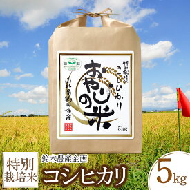 【ふるさと納税】令和5年産 特別栽培米 コシヒカリ 白米 5kg 農薬8割減・化学肥料不使用 おやじの米 山形県鶴岡産 | 楽天ふるさと 納税 特産品 返礼品 支援 ご当地グルメ お取り寄せグルメ 取り寄せ こしひかり お米 コメ おこめ 5キロ ブランド米