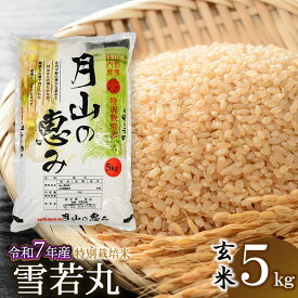 【ふるさと納税】【令和7年産先行予約】 特別栽培米 雪若丸［玄米］5kg (5kg×1袋)　2025年 山形県鶴岡市産